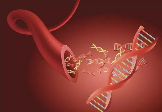 體感振動音樂療法與血液循環(huán)