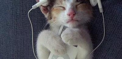 希望振奮精神的時(shí)候